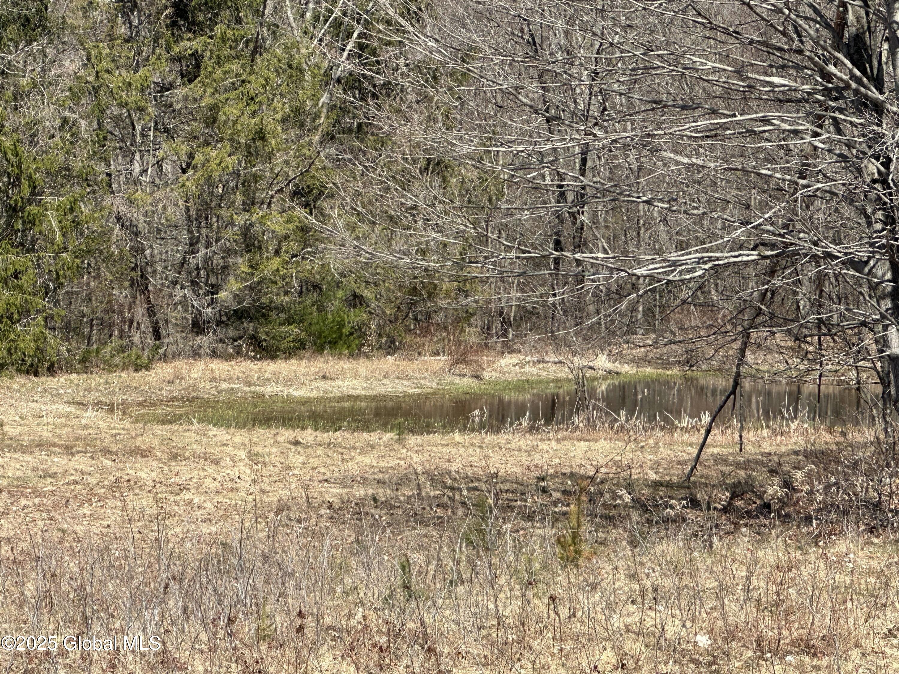 230 S Road Stephentown, NY 12018 - Photo 45 of 47 South Road pond