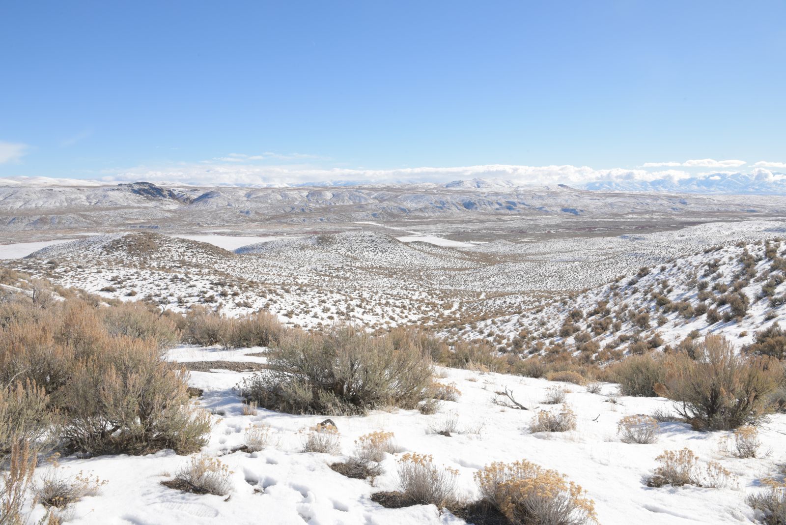 Cedar Street Elko, NV 89801 - Photo 13 of 14