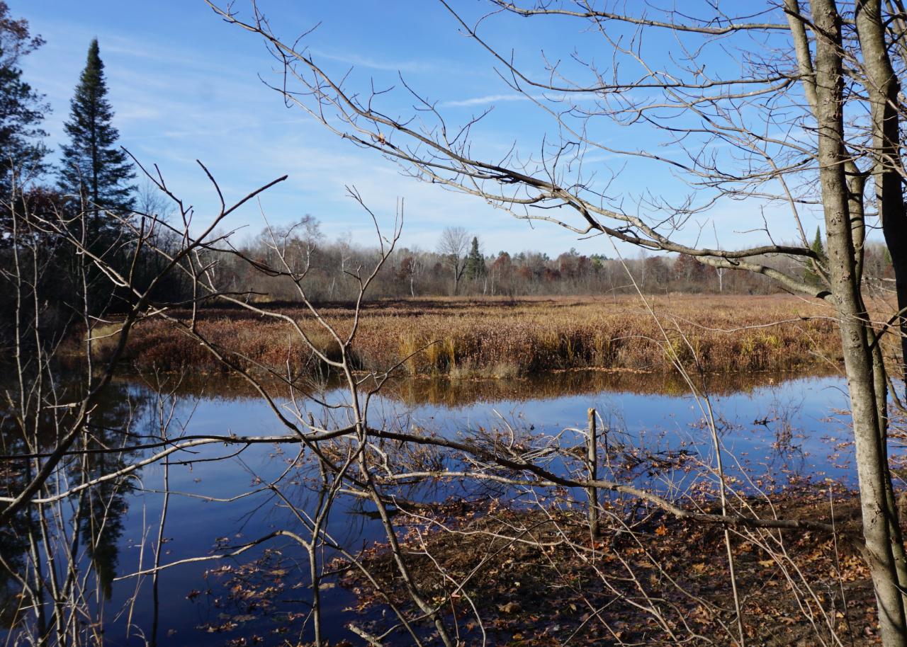 Lot 3 Sheep Ranch Road Rhinelander, WI 54501 - Photo 10 of 11 Gallery Image 10