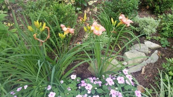 155 Newtown Road Acton, MA 01720 - Photo 40 of 42 Gallery Image 40