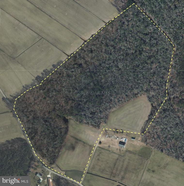 49.4-ac Ward Road Girdletree, MD 21829 - Photo 1 of 6 Gallery Image 1