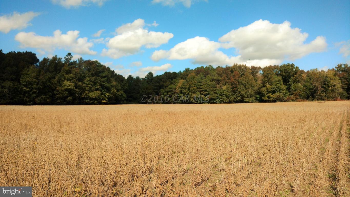 49.4-ac Ward Road Girdletree, MD 21829 - Photo 2 of 6 Gallery Image 2