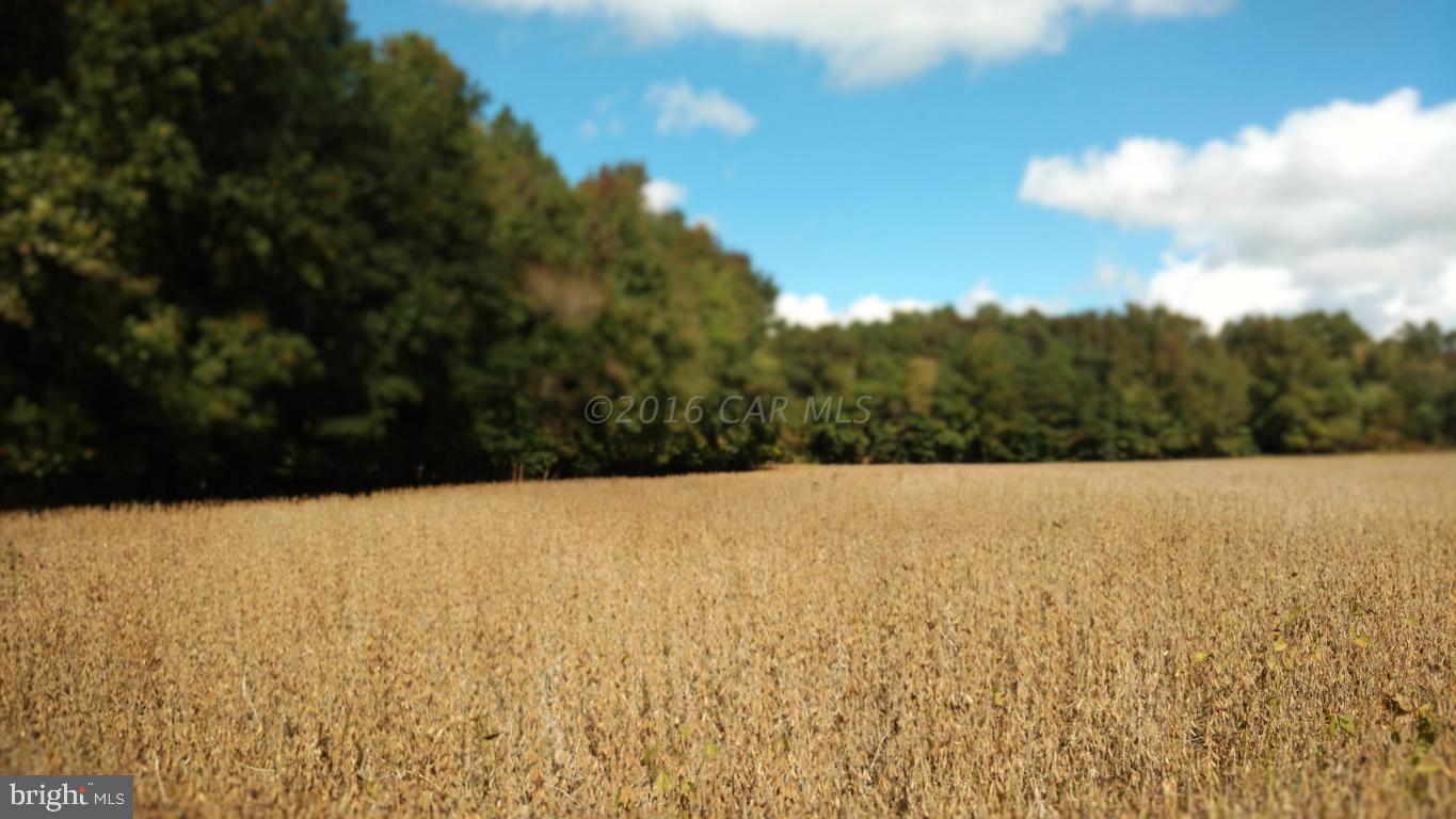 49.4-ac Ward Road Girdletree, MD 21829 - Photo 3 of 6 Gallery Image 3