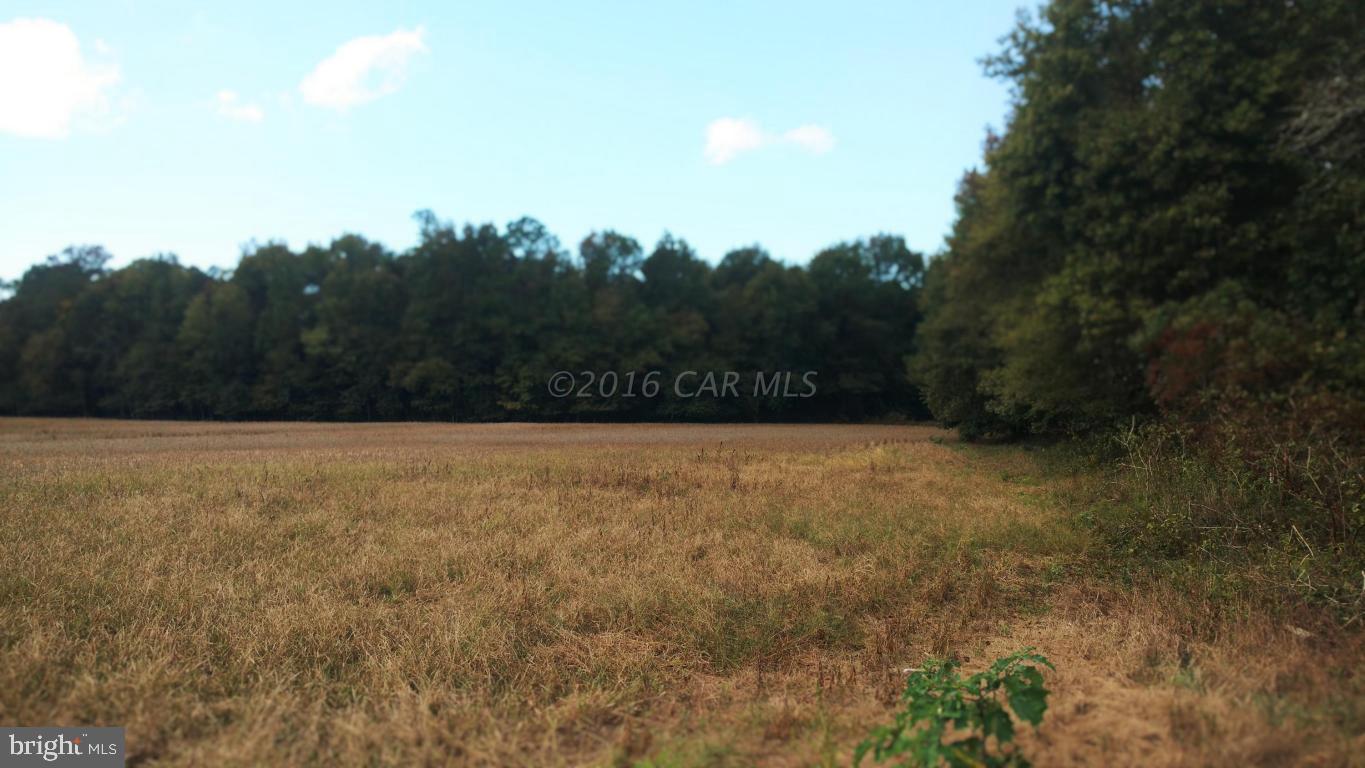 49.4-ac Ward Road Girdletree, MD 21829 - Photo 4 of 6 Gallery Image 4