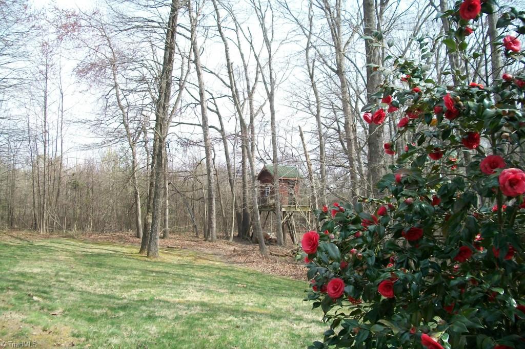 143 Old March Road Advance, NC 27006 - Photo 15 of 17 Gallery Image 15
