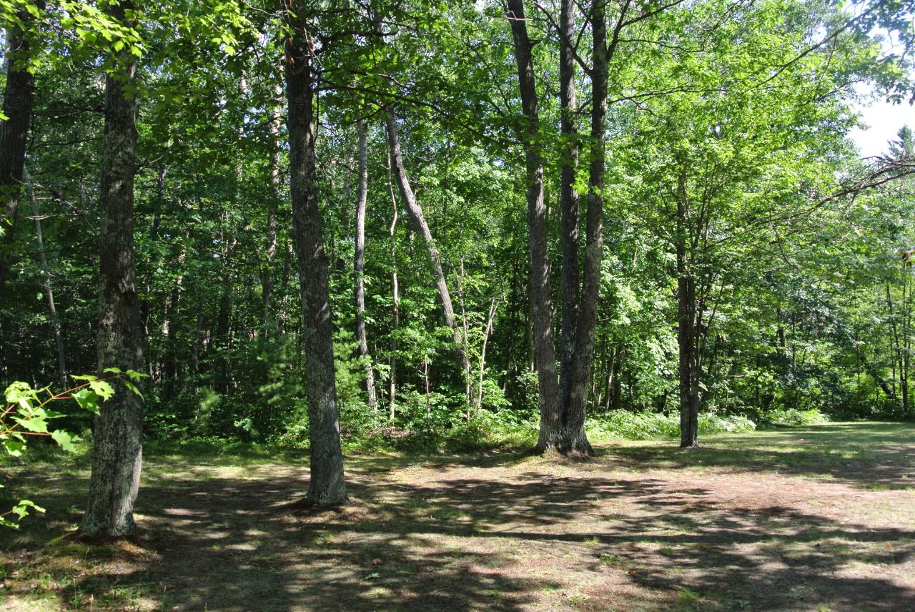 1746 Thorofare Road Minocqua, WI 54548 - Photo 9 of 13 Gallery Image 9