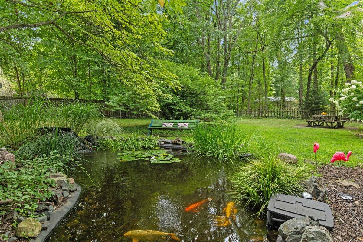 16153 Krob Road Union Pier, MI 49129 - Photo 48 of 73 Koi Pond