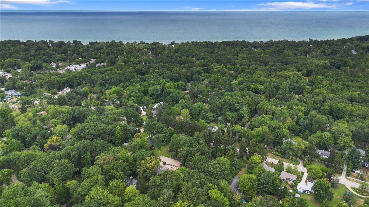16153 Krob Road Union Pier, MI 49129 - Photo 67 of 73 Drone Photo