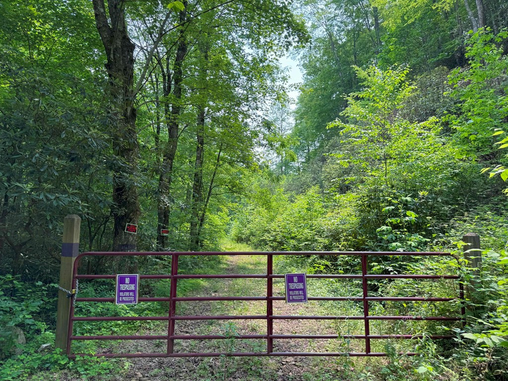 88-acres Bolden Branch Road Andrews, NC 28901 - Photo 5 of 34