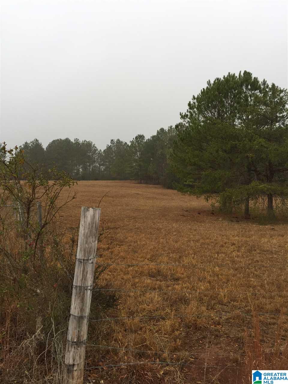 0 Hollingsworth Road Jacksonville, AL 36265 - Photo 2 of 7