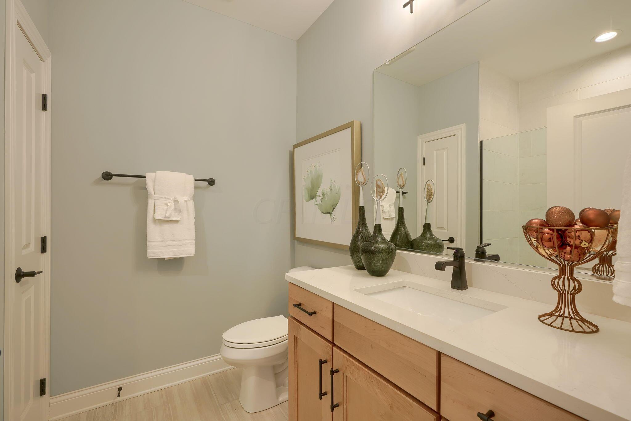 6660 Trinity Mist Way Delaware, OH 43015 - Photo 46 of 62 Guest bath