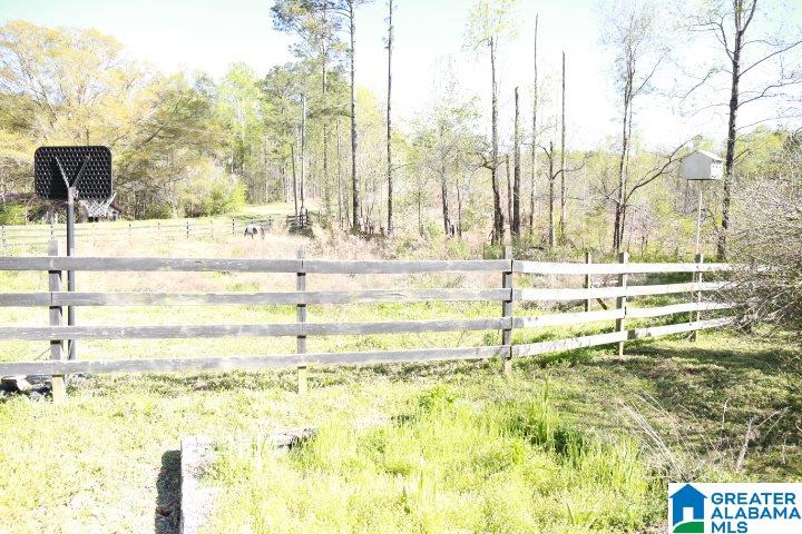 8581 Highway 10 Montevallo, AL 35115 - Photo 6 of 19
