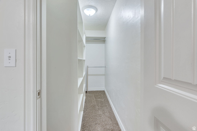 373 East Alexander Drive Elk Ridge, UT 84651 - Photo 45 of 69 Built-in shelving, flush-mount ceiling light, and wall-to-wall carpeting