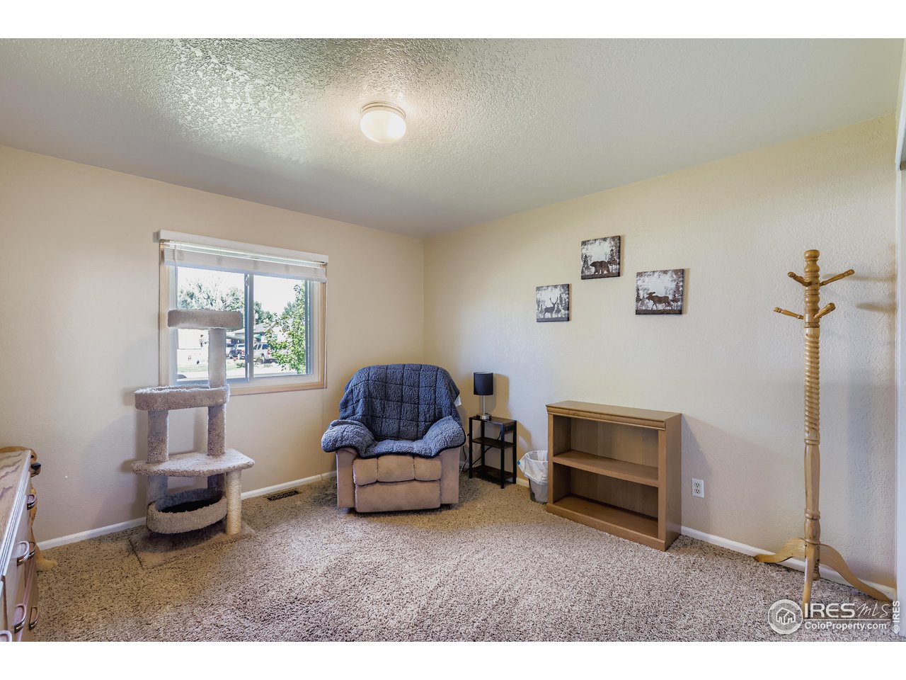 121 Chestnut Street Windsor, CO 80550 - Photo 18 of 42 a living room with furniture