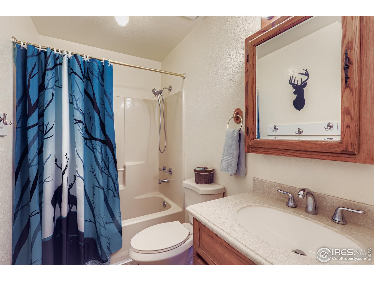 121 Chestnut Street Windsor, CO 80550 - Photo 20 of 42 a bathroom with a granite countertop sink a toilet and a mirror