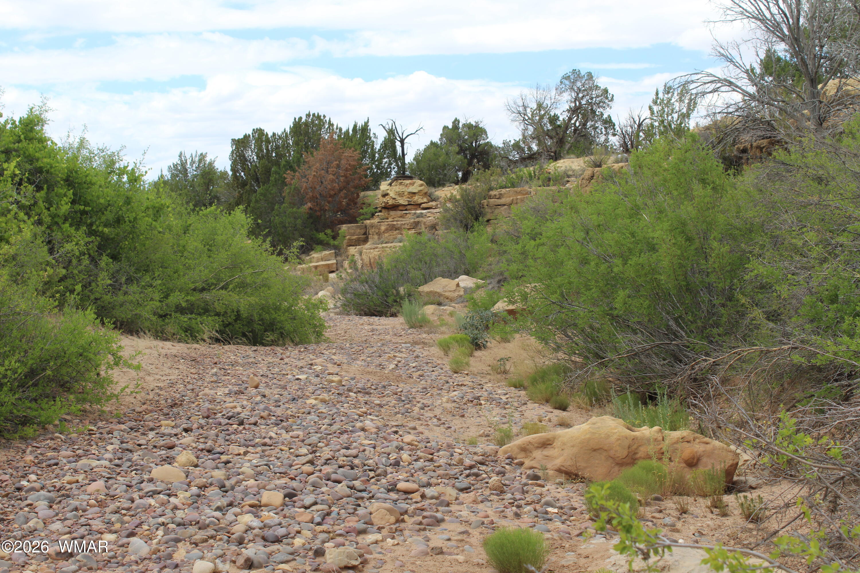 6060 Red Rock Way Heber, AZ 85928 - Photo 14 of 15