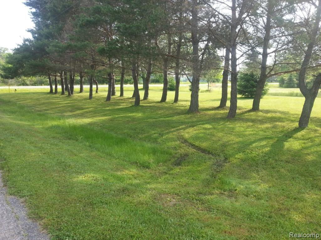 9505 Brandon Road Avoca, MI 48006 - Photo 33 of 45 20150626_090137.jpg