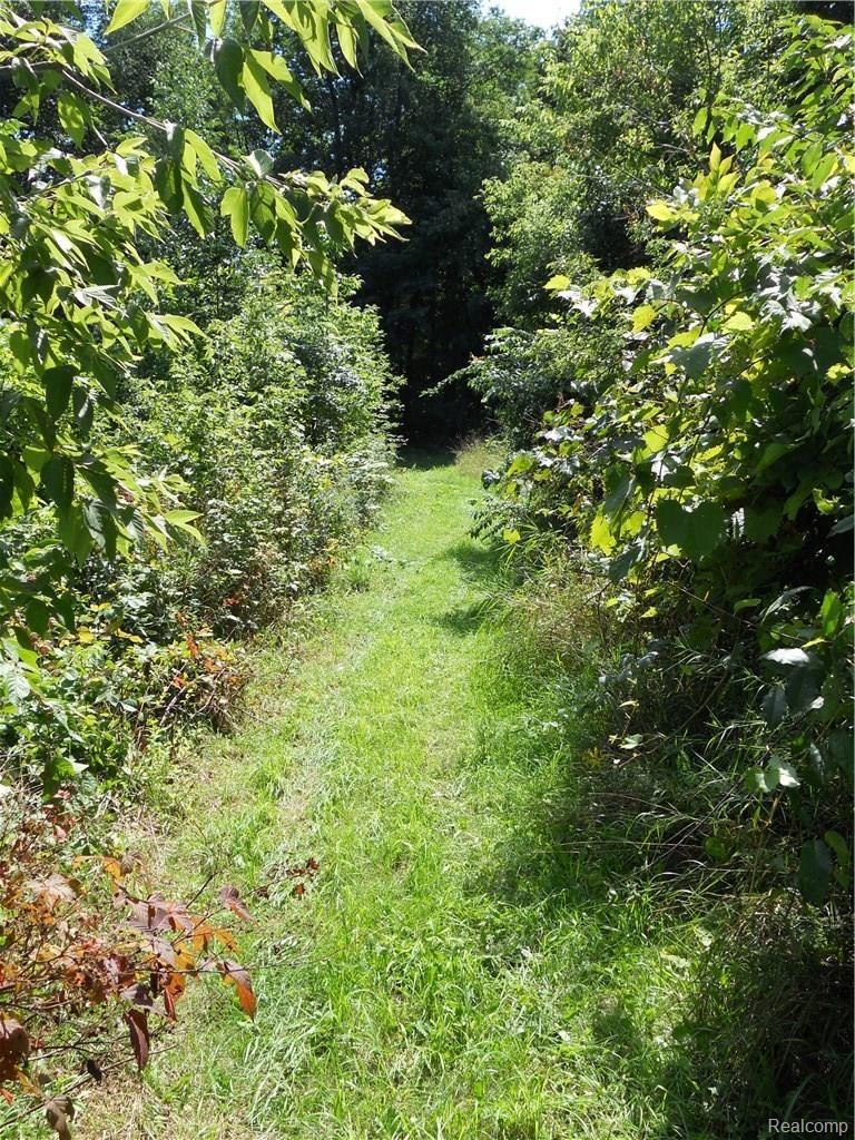 18161 Tipsico Lake Road Fenton, MI 48430 - Photo 10 of 34 trails