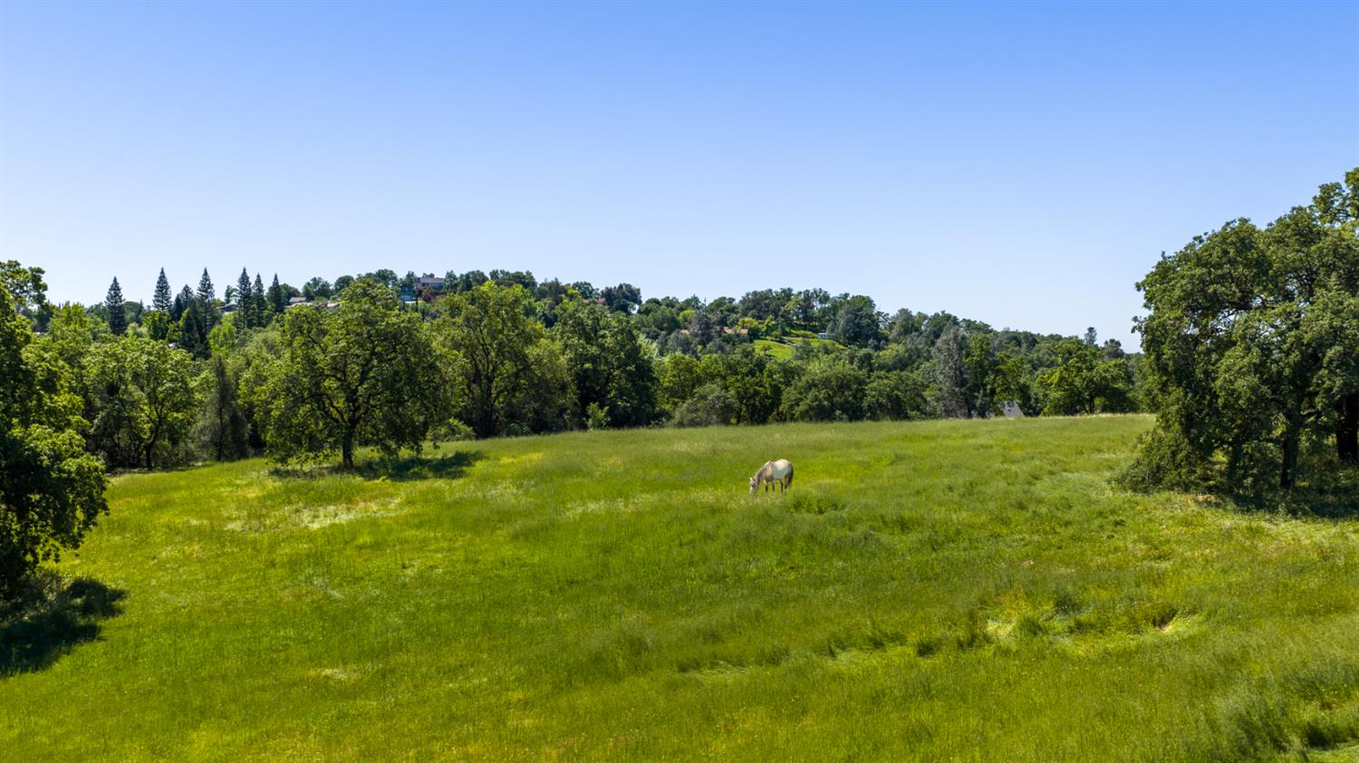 2385 Bald Hill Road Auburn, CA 95603 - Photo 55 of 63
