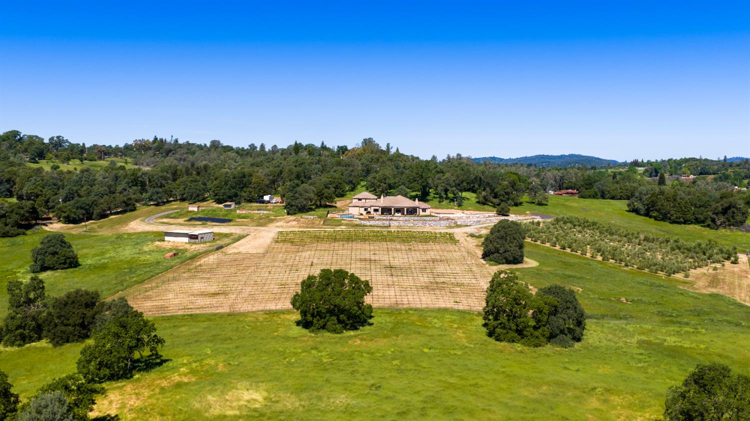 2385 Bald Hill Road Auburn, CA 95603 - Photo 10 of 63 Acres of pastures + 2.5 acre vineyard + 1.5 acre olive orchard