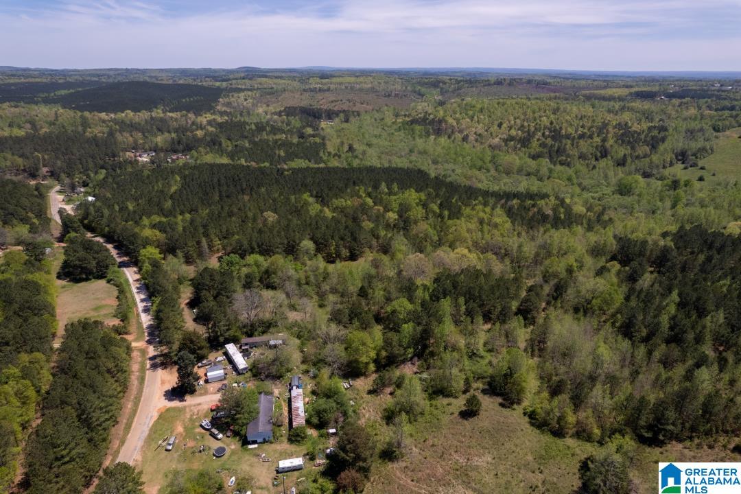 0 County Road 204, Unit 1 Heflin, AL 36264 - Photo 8 of 9