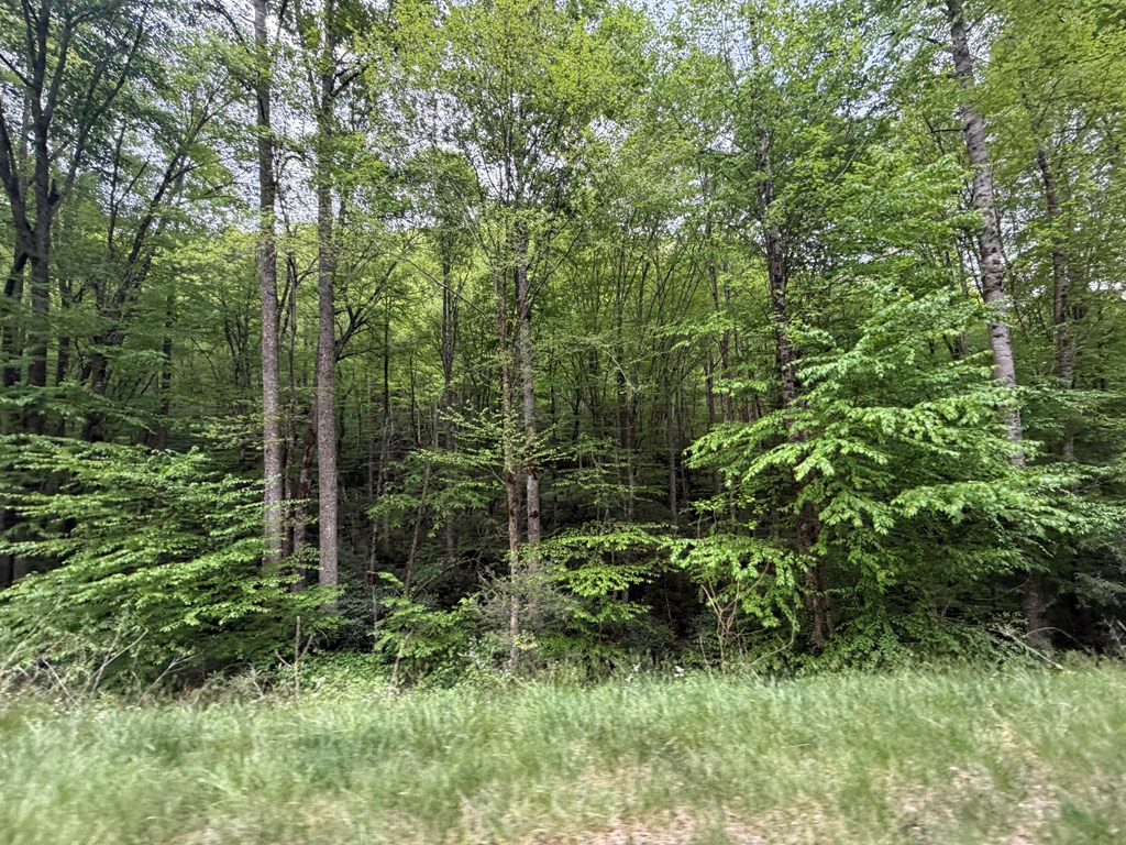 2-lots 2-lots Warrior Way Road Andrews, NC 28901 - Photo 4 of 6
