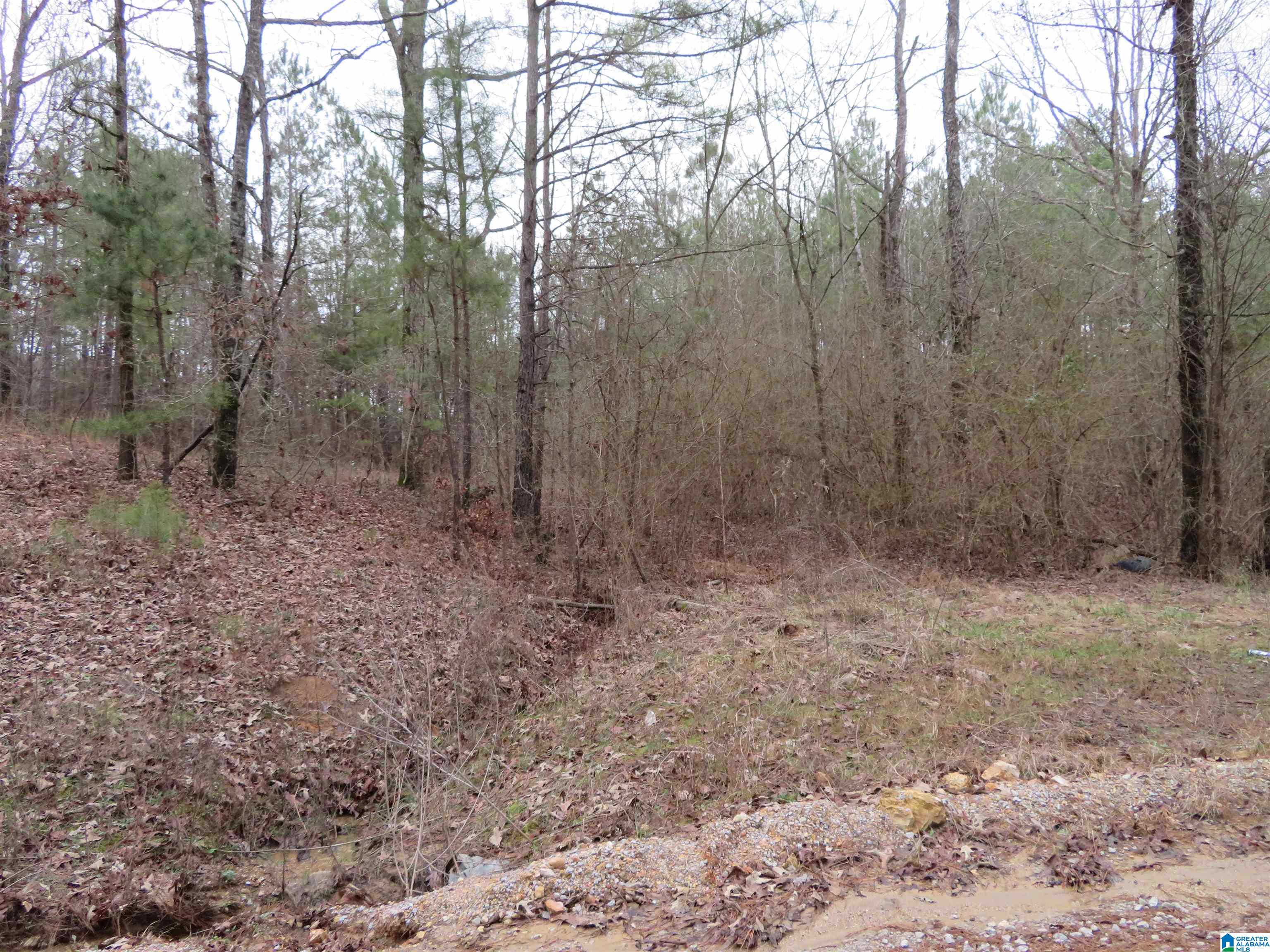 0 Cp Crk Road, Unit ACREAGE West Blocton, AL 35184 - Photo 6 of 6