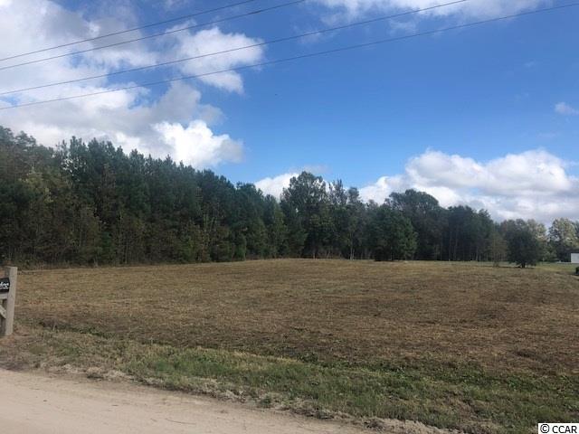Tbd Turner Road Aynor, SC 29544 - Photo 2 of 4 Gallery Image 2
