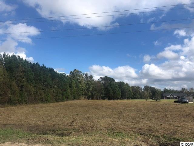 Tbd Turner Road Aynor, SC 29544 - Photo 3 of 4 Gallery Image 3