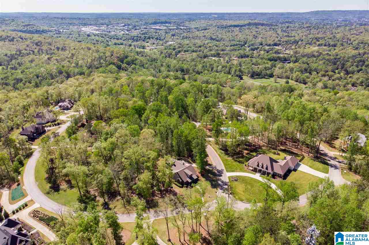 1130 Stagg Run Trail Pelham, AL 35124 - Photo 49 of 50