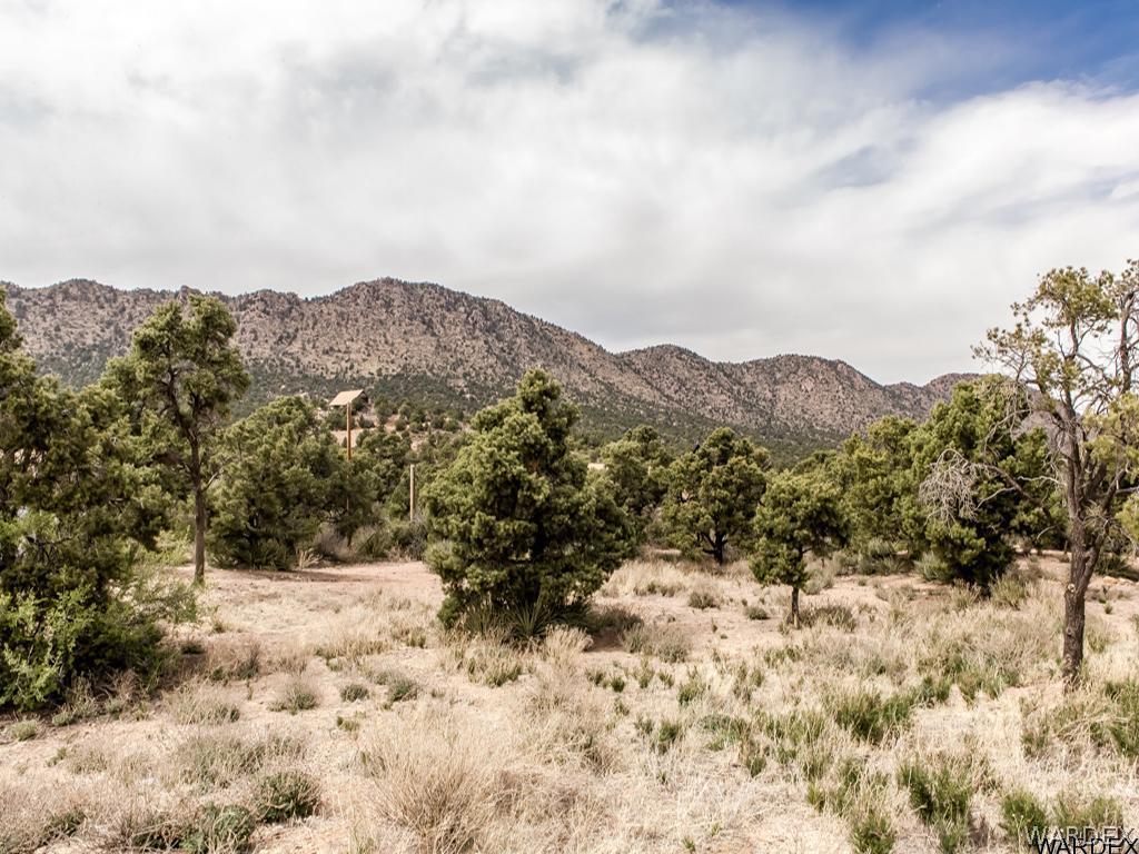 2685 South Dw Ranch Road Kingman, AZ 86401 - Photo 30 of 33 Gallery Image 30