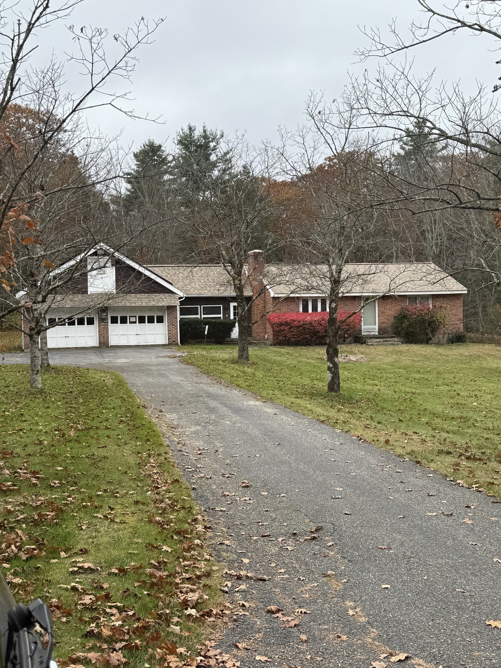 a house view with a garden space