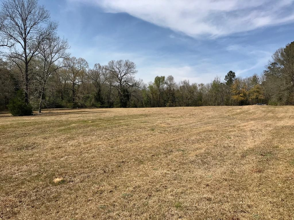 Lot 1 Holiness Church Road Wagener, SC 29164 - Photo 1 of 22