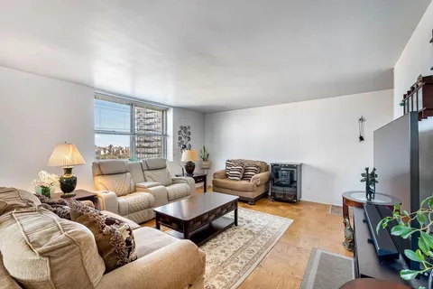 a living room with furniture and a potted plant