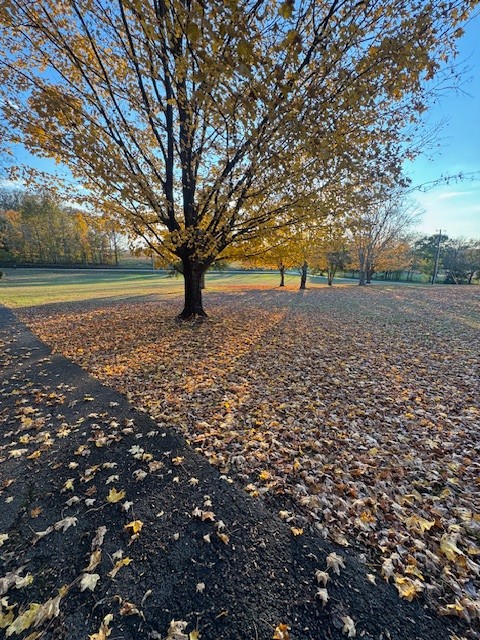 2740 McLemore Road Franklin, TN 37064 - Photo 2 of 6