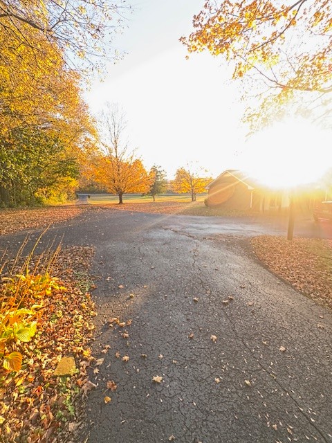 2740 McLemore Road Franklin, TN 37064 - Photo 3 of 6