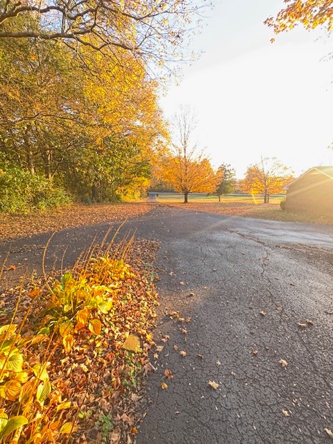 2740 McLemore Road Franklin, TN 37064 - Photo 4 of 6