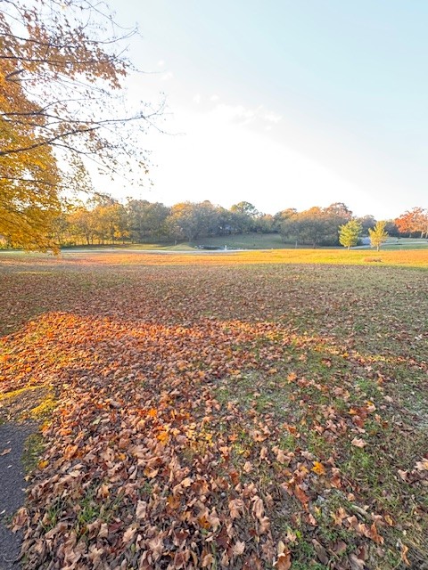 2740 McLemore Road Franklin, TN 37064 - Photo 5 of 6