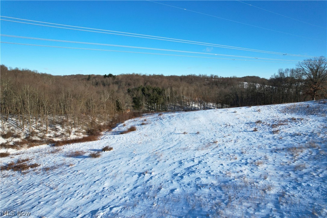 Fostor Road Dresden, OH 43821 - Photo 24 of 25 Yard layered in snow featuring a view of trees