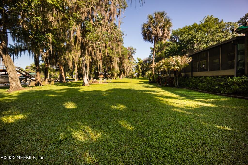 105 South Lake George Drive Georgetown, FL 32139 - Photo 56 of 71 Backyard View 2
