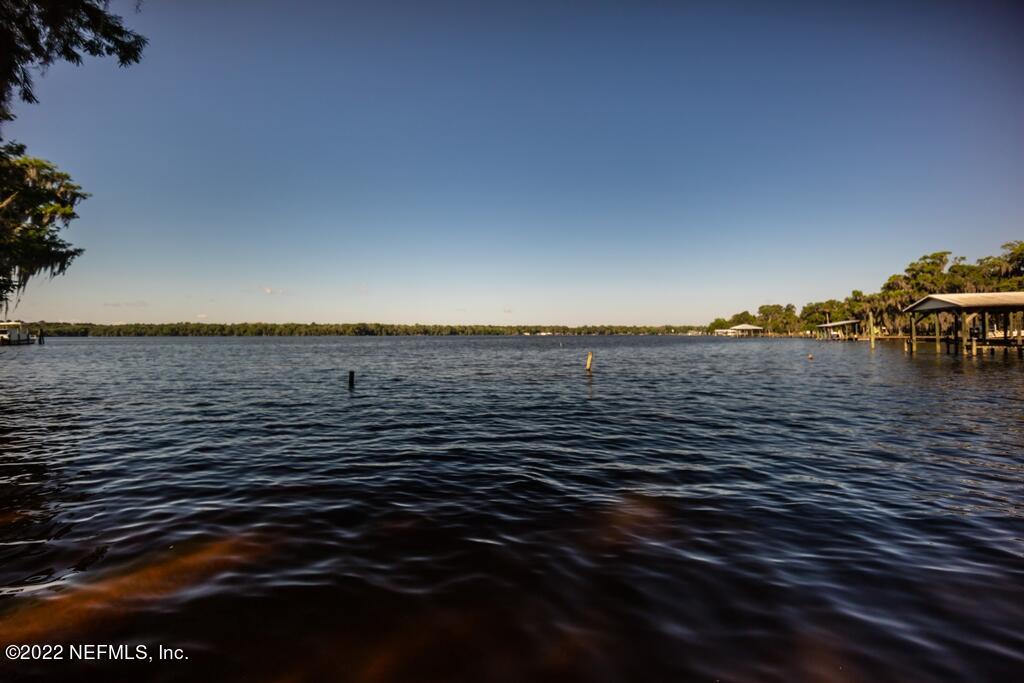 105 South Lake George Drive Georgetown, FL 32139 - Photo 61 of 71 Backyard View 7