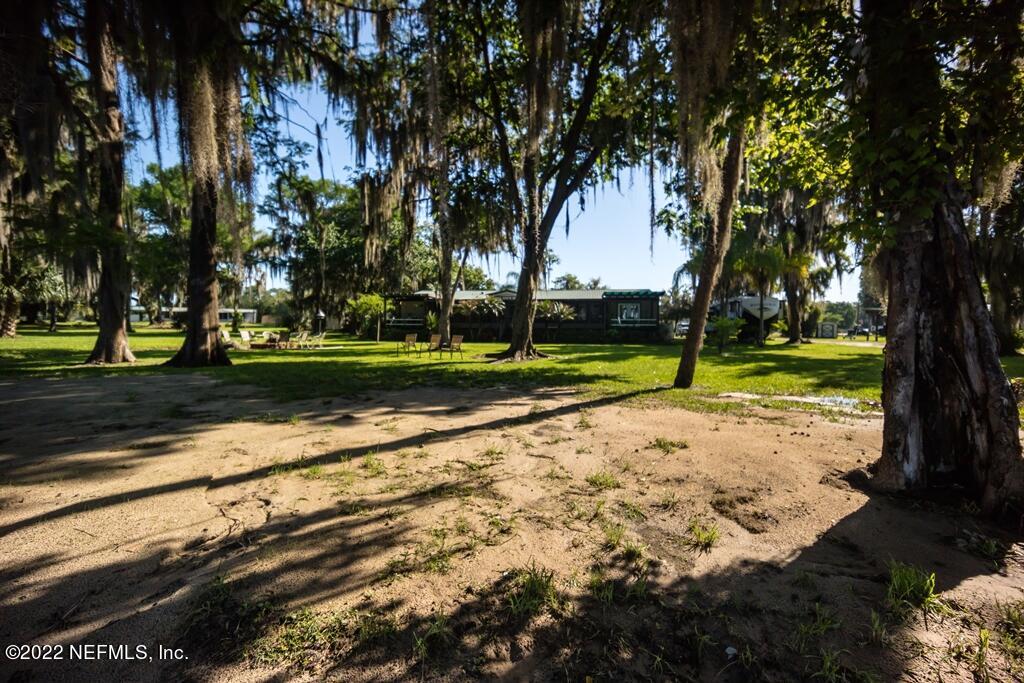 105 South Lake George Drive Georgetown, FL 32139 - Photo 62 of 71 a view of a park with large trees
