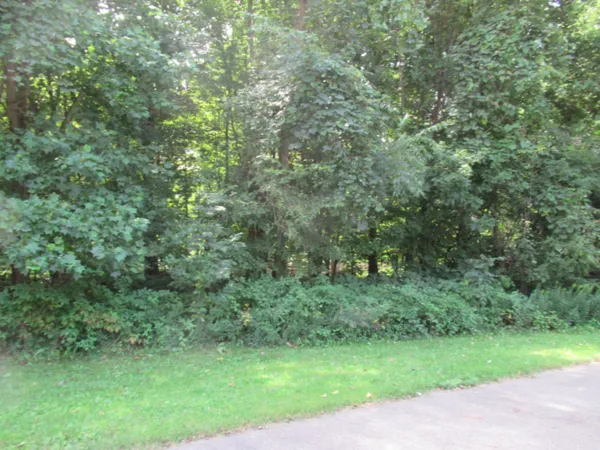 $35,000 | 1 Deep Woods Drive, Cassopolis, MI 49031