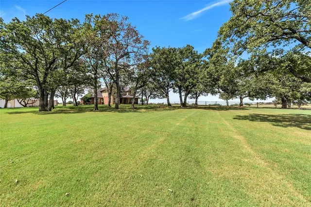 a view of a trees and yard in front of the house