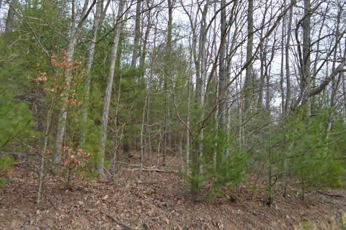 1 Little Mountain Road New Castle, VA 24127 - Photo 1 of 1 Gallery Image 1