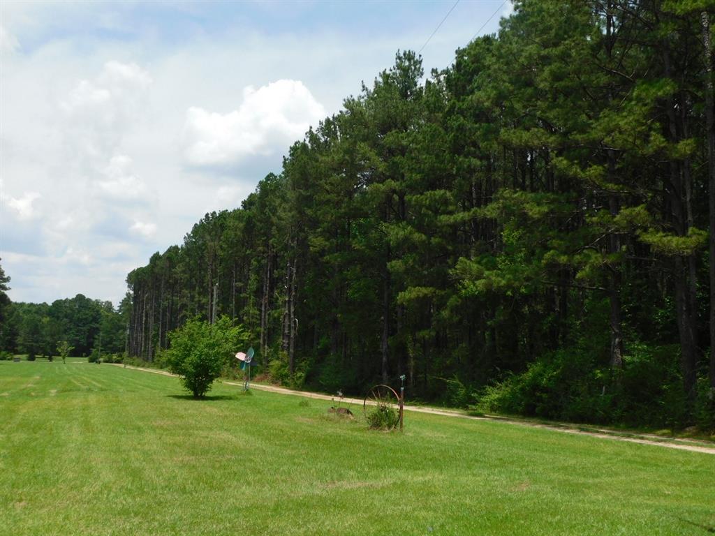 555 Thomasville Road Sarepta, LA 71071 - Photo 37 of 40