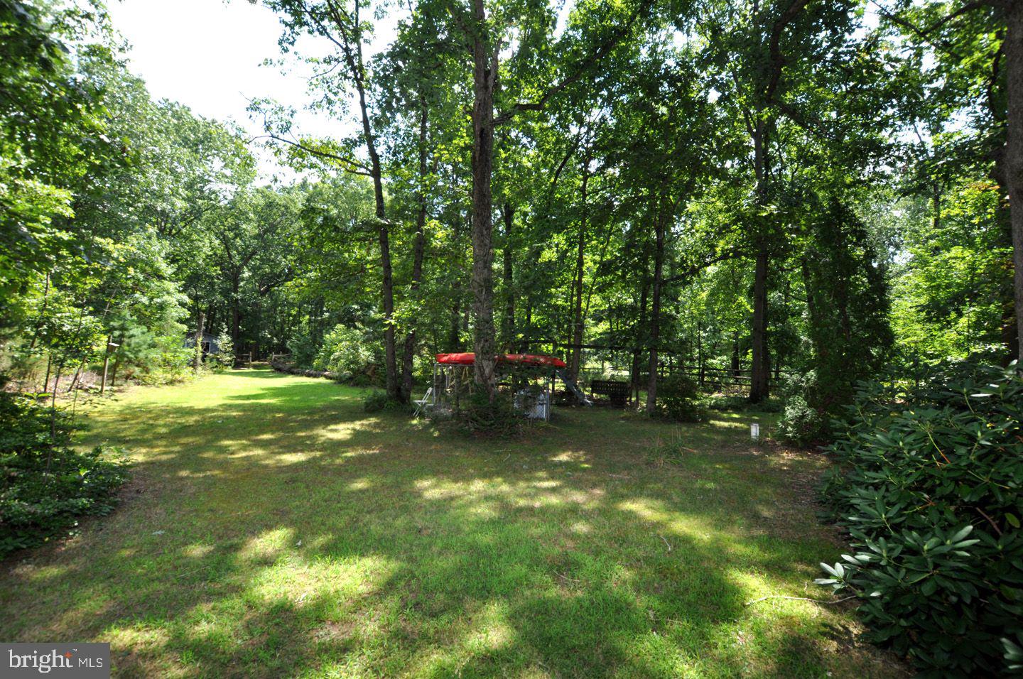 35 Norcross Road Berlin, NJ 08009 - Photo 25 of 33 Back yard property is approx 1100 feet long