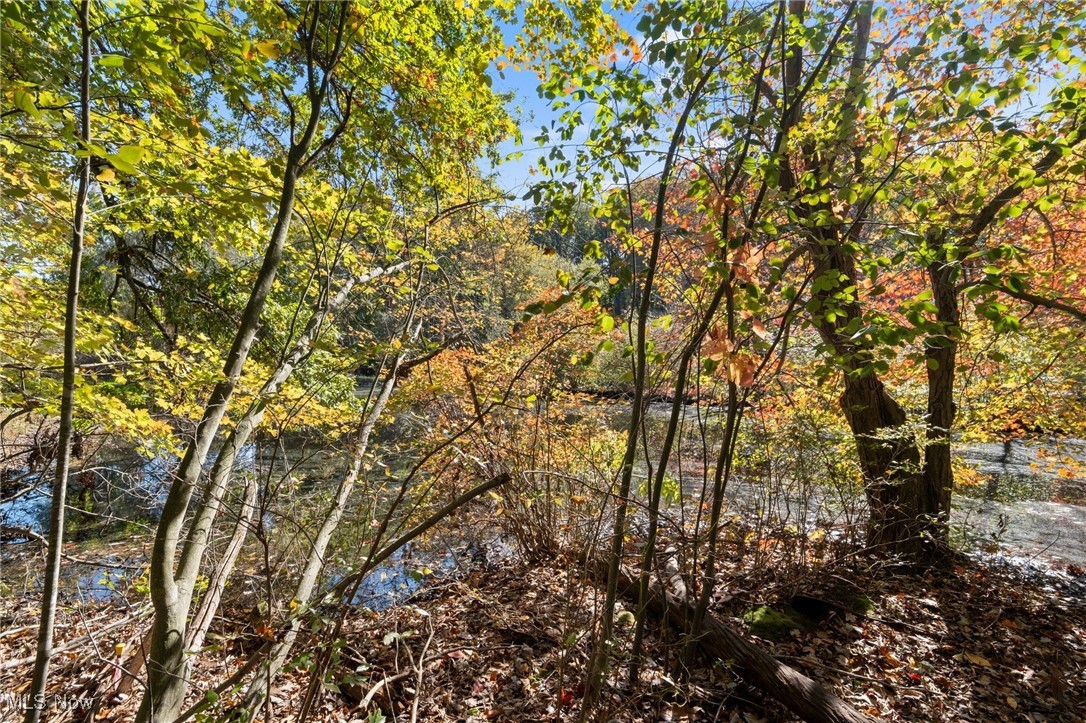 West Comet Road Clinton, OH 44216 - Photo 20 of 26 View of local wilderness