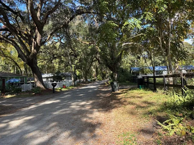 a view of a tree in front of a house