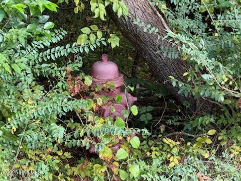 2 Galestown Road Rockingham, NC 28379 - Photo 2 of 5 A46FB492-CEB9-4539-821E-4C1F9C18FBDE